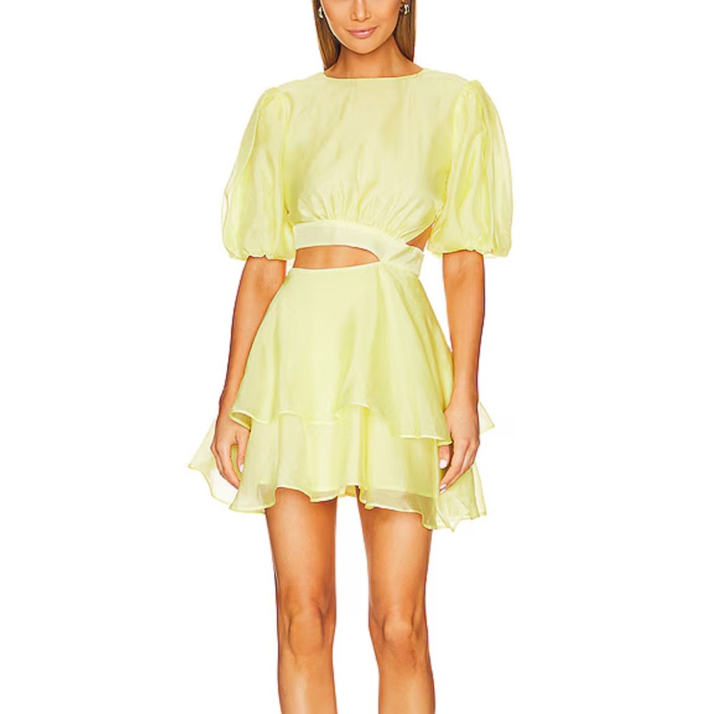 Bardot Enya Organza Mini Dress
